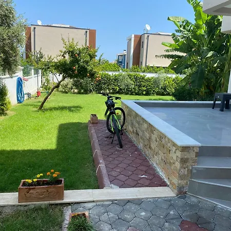 Orange&lemon Camyuva