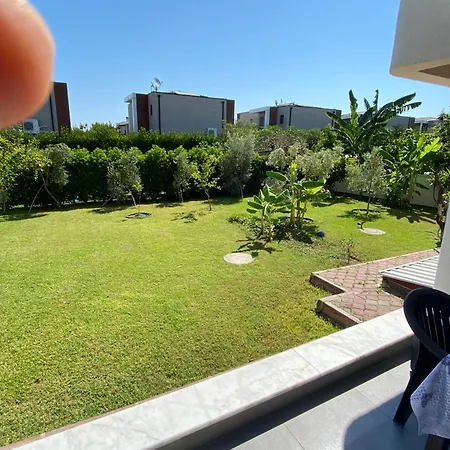 Orange&lemon Camyuva