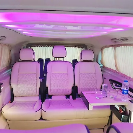 Orange&lemon çamyuva *