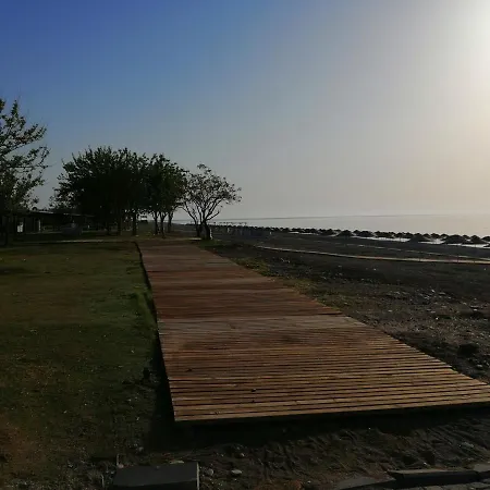 Orange&lemon çamyuva *