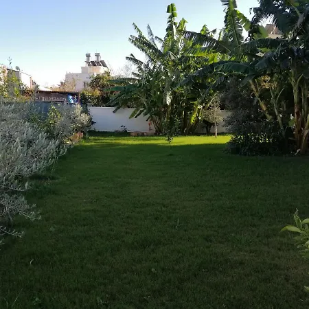 Orange&lemon Camyuva * ケメル