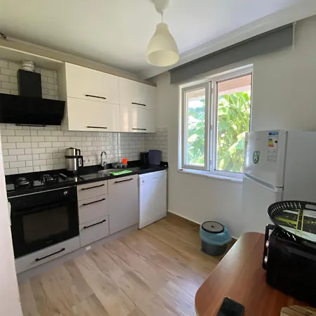 Orange&lemon çamyuva *