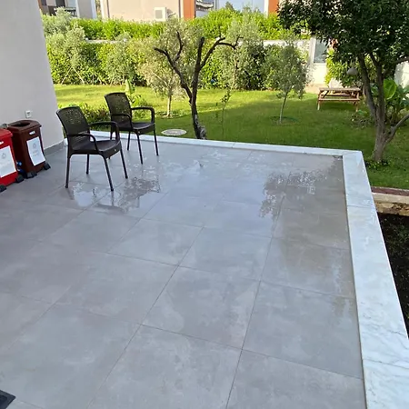 Orange&lemon Camyuva