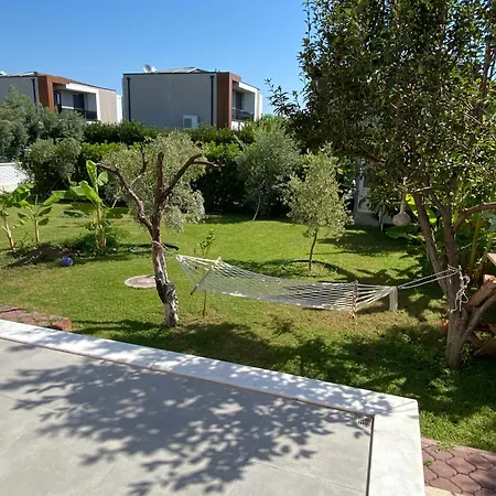 Orange&lemon Camyuva