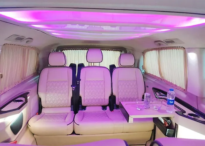 Orange&lemon Camyuva *