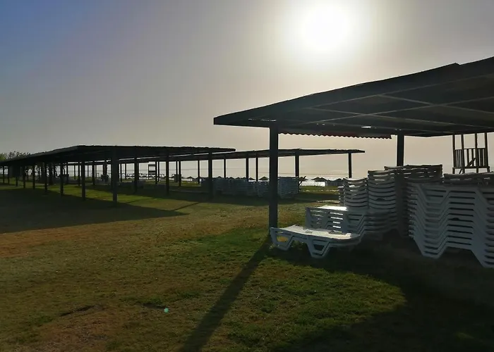 Orange&lemon Camyuva * קמר