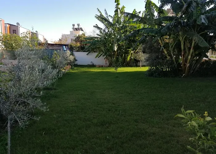 Orange&lemon Camyuva * קמר