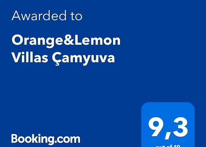 Orange&lemon Camyuva קמר