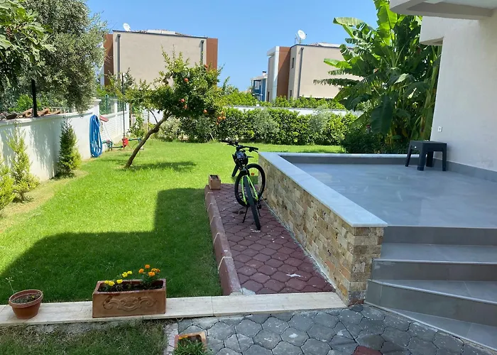 Orange&lemon Camyuva