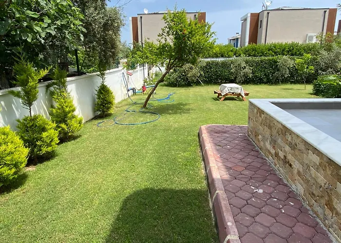 Orange&lemon Camyuva * קמר