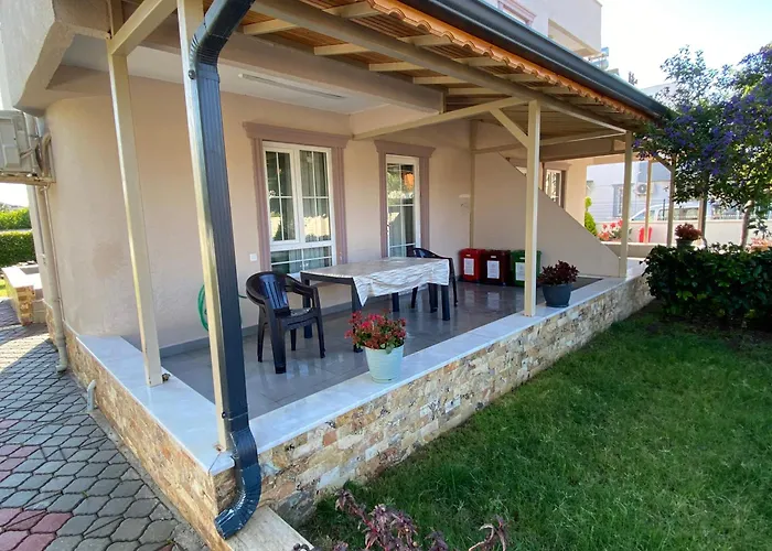 Orange&lemon Camyuva