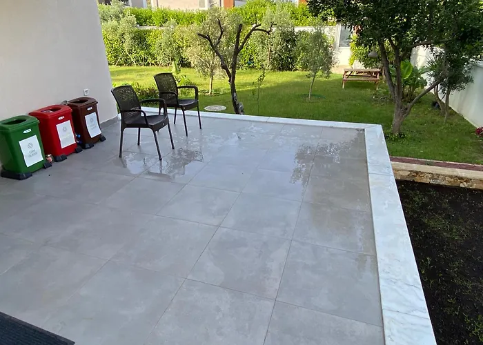 Orange&lemon Camyuva