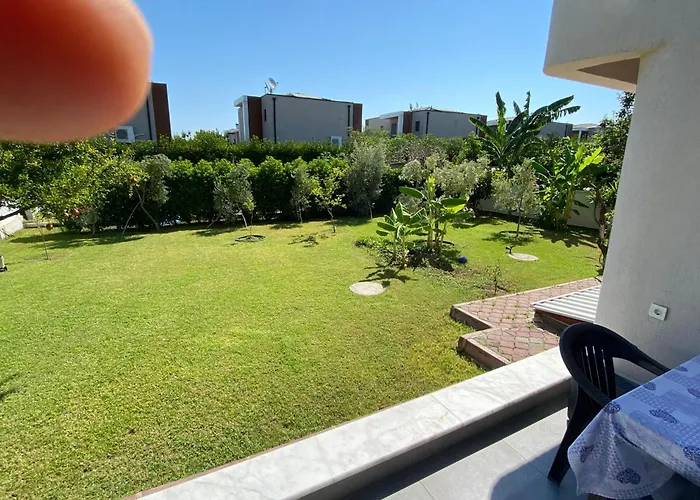 Orange&lemon Camyuva