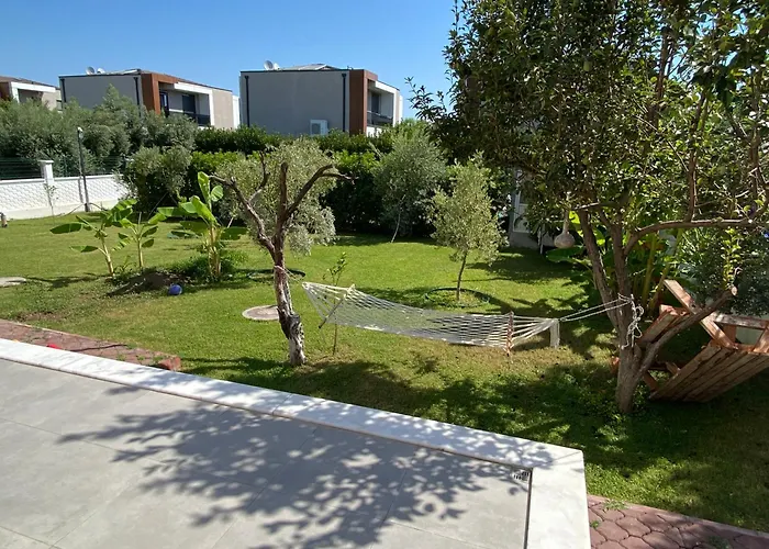 Orange&lemon Camyuva