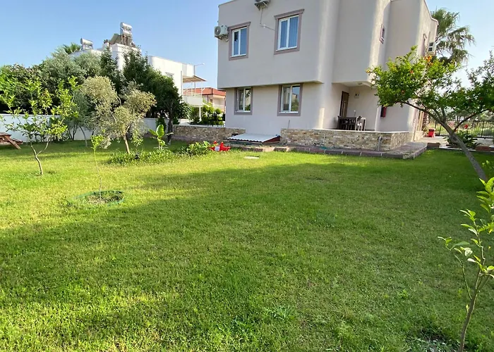 Orange&lemon Camyuva